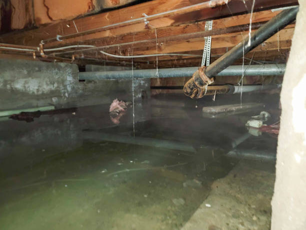 Water damage restoration mold remediation in Coarsegold, CA