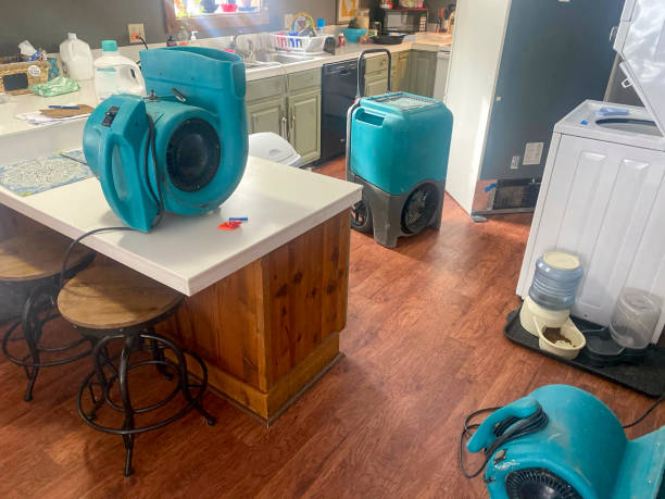 Best Local water damage restoration  in Coarsegold, CA