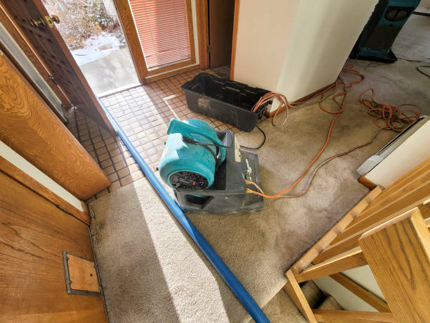 Best Flood restoration services  in Coarsegold, CA