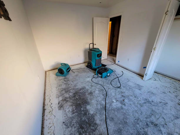 Professional Water damage restoration in Coarsegold, CA
