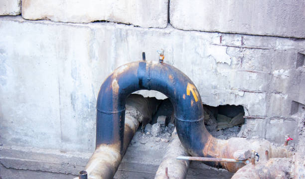 Best Professional water damage repair  in Coarsegold, CA