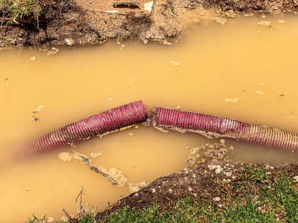 Best Residential water damage restoration  in Coarsegold, CA