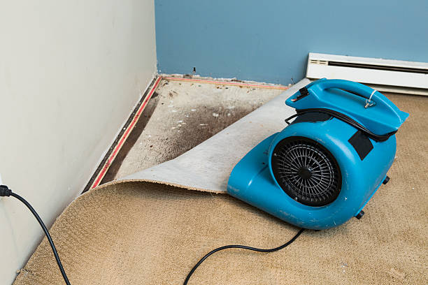 Best Fire Damage Restoration  in Coarsegold, CA